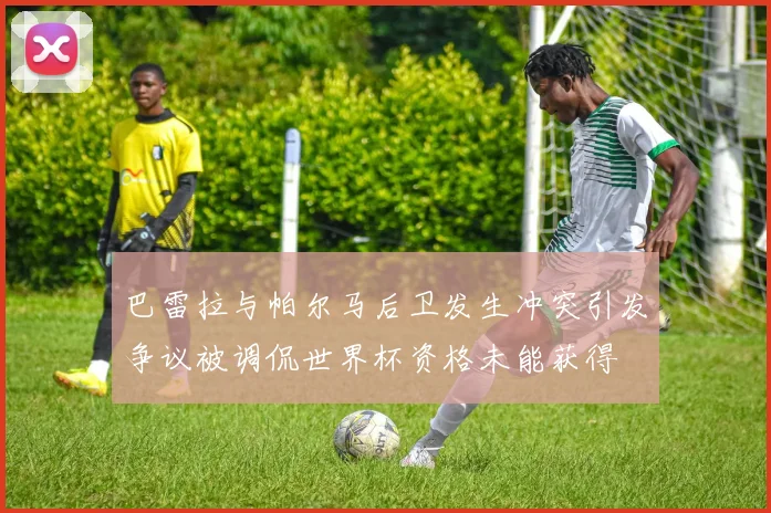 巴雷拉与帕尔马后卫发生冲突引发争议被调侃世界杯资格未能获得