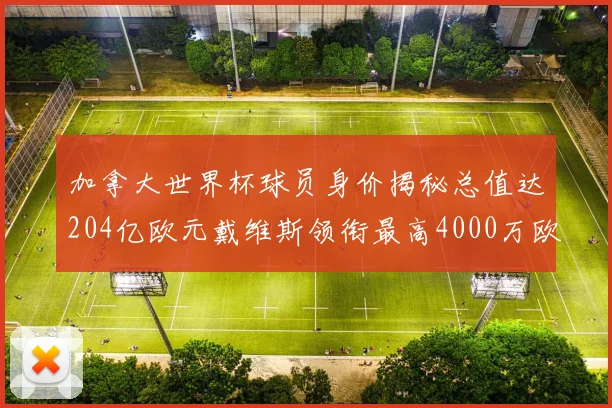 加拿大世界杯球员身价揭秘总值达204亿欧元戴维斯领衔最高4000万欧
